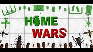 Bugs are Invading!-Home Wars Ep1