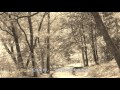 湯沢旅情 加山雄三 (cover) dankiyo19