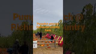 Richmond Country Farm - Pumpkin Patch