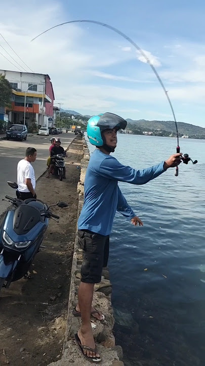 Complete Tutorial for Squid Fishing on the Shore #shorts #shortvideo #short #shortsvideo #shortsfeed