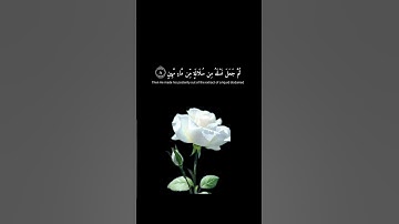 الَّذِي أَحْسَنَ كُلَّ شَيْءٍ خَلَقَهُ #القارئ_اسلا #القارىء_اسلام_صبحي