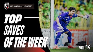 Incredible Goalkeeping Highlights! | 2024 J.LEAGUE TOP SAVES | VOL.14