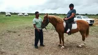 Ons inspirasie vir die dag - Louwrens Erasmus