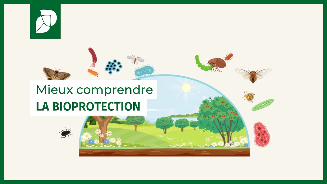 Mieux comprendre la bioprotection - YouTube