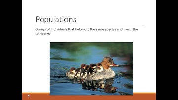 Chapter 3 Lesson 1: The Organization of Ecology