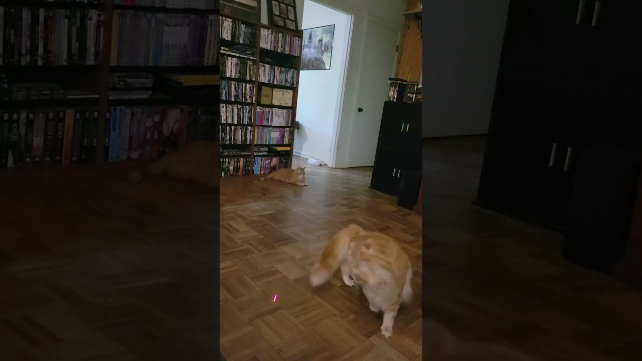 WAOC: Episode 4, The Return of the Red Dot Nemesis