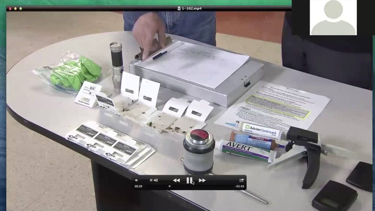 Cockroaches Finally Meet Their Match (Yep, It Includes IPM)