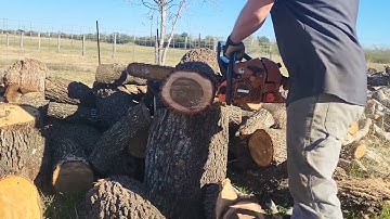 Echo CS-590/620 - Fully ported vs Bone Stock