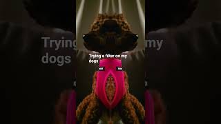 D3Jcekceifekcrkcrckco4Vorov