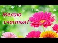 Желаю счастья! доброе пожелание.