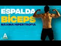 Rutina de Espalda y Bíceps para Hipertrofia | Desarrollo Muscular💪