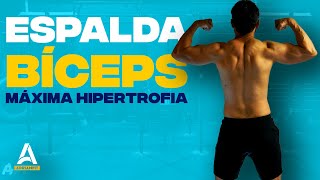 Rutina de Espalda y Bíceps para Hipertrofia | Desarrollo Muscular💪