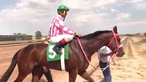 Arapahoe Park Leading Thoroughbred Jockey Tracy He...