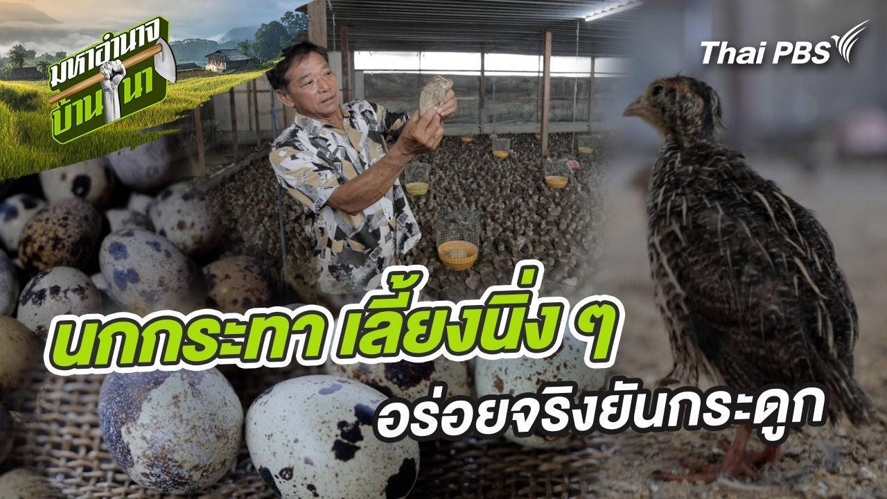 ทาสีบ้านน้องมวย ใกล้จะเสร็จสมบูรณ์แล้ว   2 มิถุนายน ค.ศ. 2024