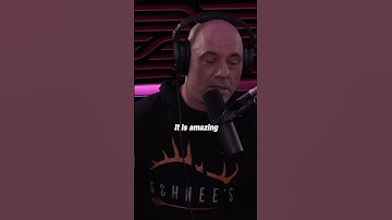 Bill Burr & Joe Rogan - The Real Reason They Hate Remote Work! …#shorts