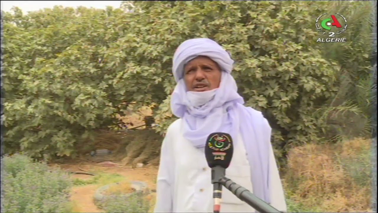 تمنراست | رغم التضاريس الصعبة.. فلاحو إن أمقل يرفعون التحدي بالمردودية