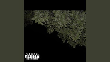 Orientation Vacation