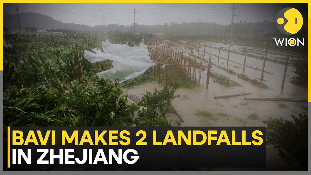 Typhoon Bavi Slams China After Battering Taiwan And Japan |Millions Evacuated | Typhoon Bavi Updates Typhoon Bavi Slams China After Battering Taiwan And Japan |Millions Evacuated | Typhoon Bavi Updates