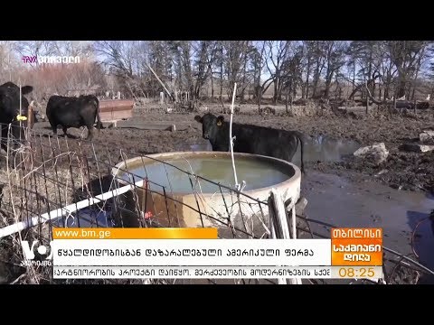 წყალდიდობისგან დაზარალებული ამერიკული ფერმა