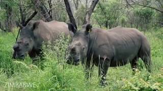 World Environment Day – Calling all Eco-Warriors! | We, included.