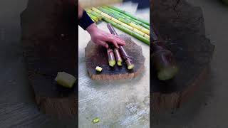 SC 42678909 mini rotary tilling and ridding all-in one tree 🌲 Short view