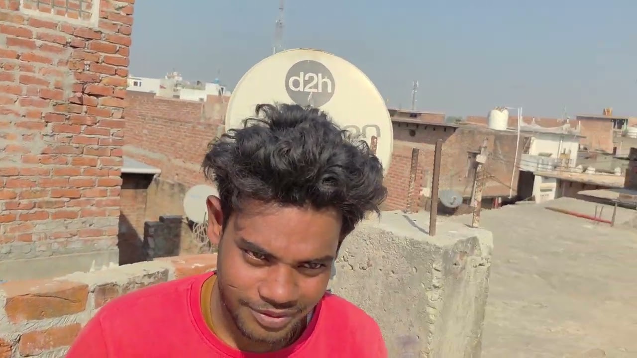 Shakil bhai jite Bahedi se Shahpur#pigeonhouse  se#viral#kabootar  #pigeon #vilogpigeon #trending 