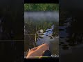 Крик души |  #rf4 #fishing #games #carpfishing #gaming #рыбалка #pcgaming #rf4tools