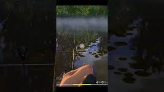 Крик души |  #rf4 #fishing #games #carpfishing #gaming #рыбалка #pcgaming #rf4tools
