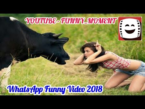 whatsapp-funny-videos,-indian-funny-videos,-best-hindi-funny-video