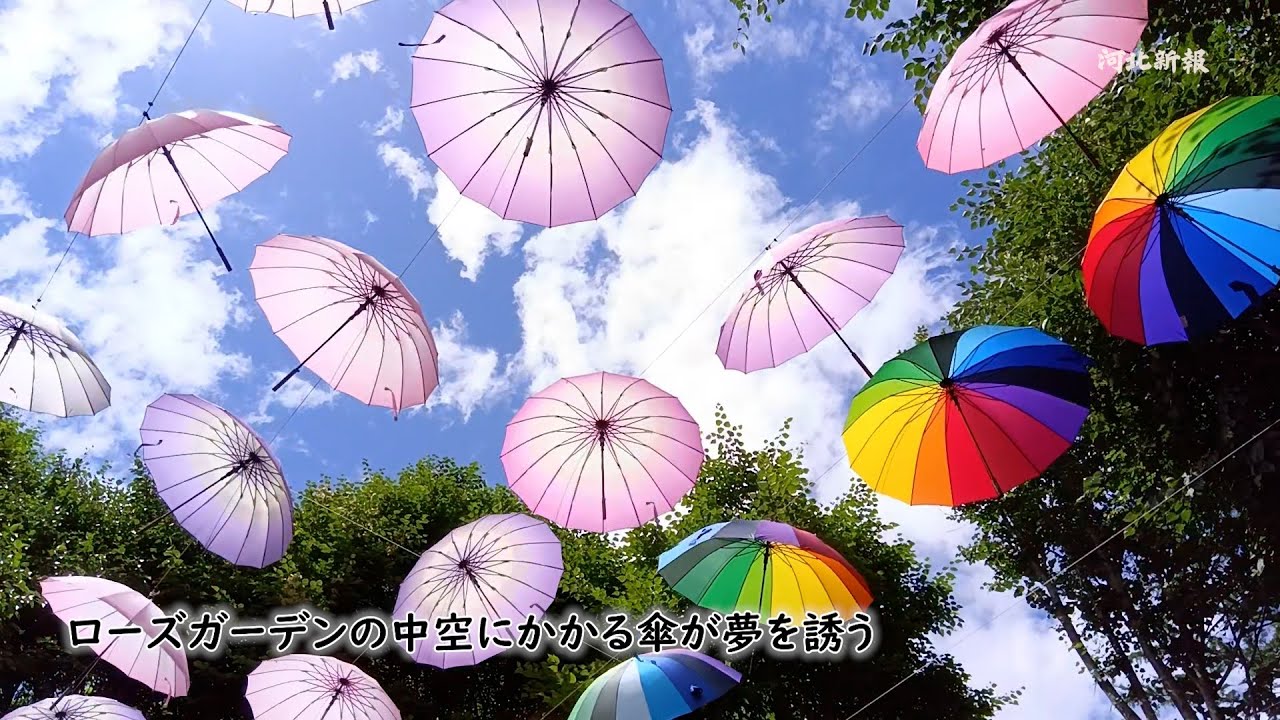 やくらいガーデン・アンブレラスカイ（宮城県加美町） - YouTube