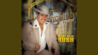 Video thumbnail of "El Tigrillo Palma - El Rey De La Kush"
