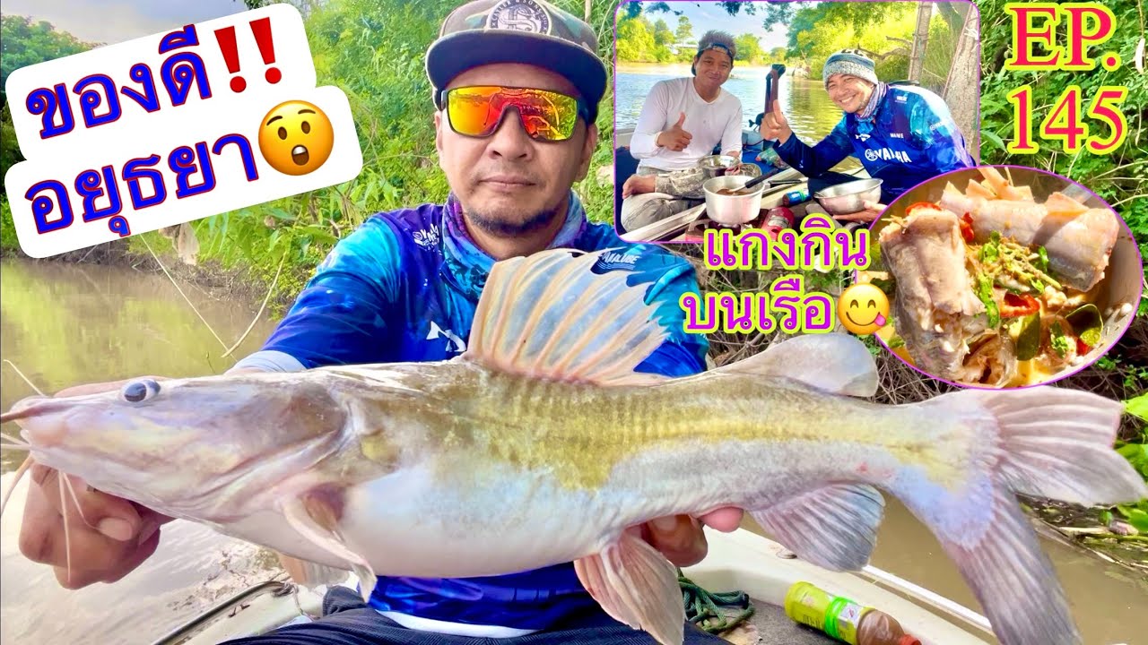 ของดี_อยุธยา‼️ 🎣ตกปลากดแม่น้ำ_ทำแกงใส่หน่อไม้_กินกันบนเรือ👍😋 EP.(145)