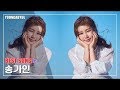 베스트 전곡가사 송가인 노래모음 베스트 전곡가사 송가인 노래모음