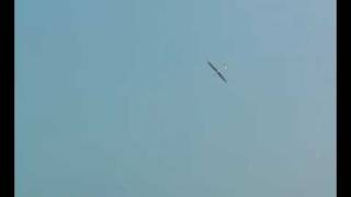 DG-1000 2.6M Scale Glider