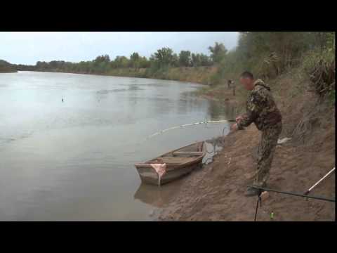 ловля сазана на реке урал в казахстане