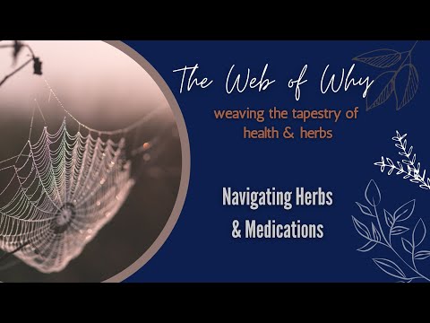 How to Navigate Herbs and Medications