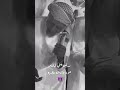 مدخ ـن يبني لبـان و ع ــود و ريح ه عـ ـطـري ـه الامارات شلات حربيات رزفات شلات2023