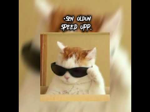Sen oldun/-SPEED UP.