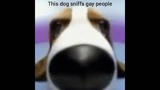 perro musica triste meme @treszu