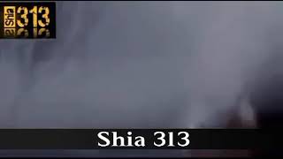 Shia 313
