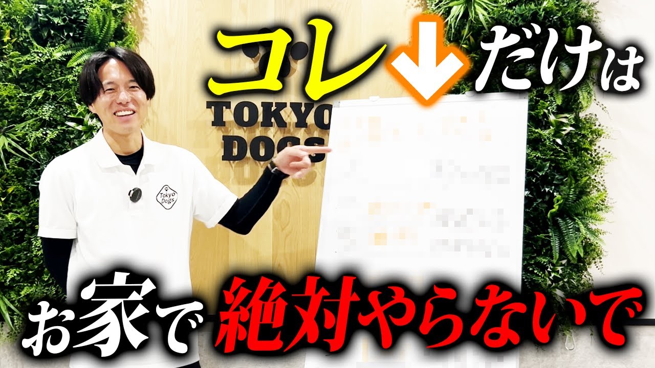 【常識崩壊】お家で絶対にやってはいけない愛犬との接し方5選【プロドッグトレーナー解説】