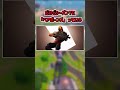 アイテム達の面白い小ネタ...【フォートナイト/ゆっくり実況/ふぉーとないとゆっくり/Fortnite】#shorts #フォートナイト#ゆっくり実況