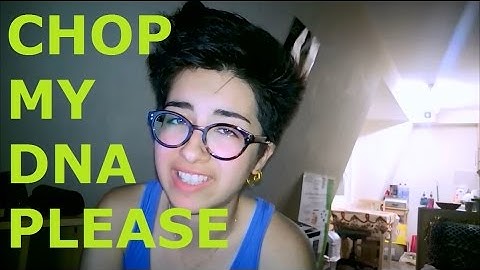 Genetic Fingerprinting, Paternity Tests and Jeremy Kyle