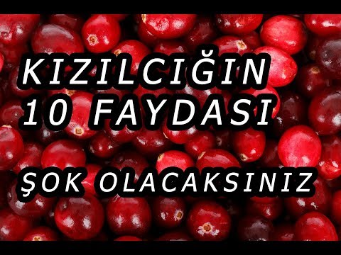 Video: Kızılcıkların Faydalı özellikleri