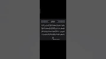 قرآن كريم... تلاوه خاشعه #تلاوة_هادئة #قران_كريم #سورة_هود #اكسبلور #لايك #راحة #explore