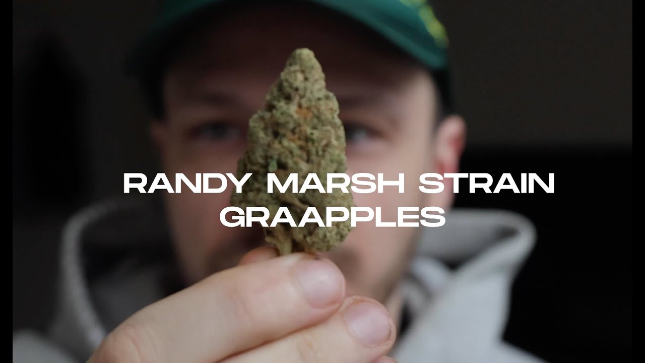 Randy Marsh Strain Review  - Home Grown NY