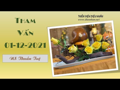 Video Tham Vấn 01.12.2021 - NS Thuần Tuệ - youtube