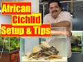 African Cichlid Fish | How to Setup an Aquarium  | Mayur Dev's Tips on Cichlid Fish Keeping |HD1080p