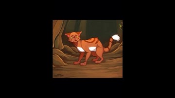 Leafpool’s life #warriors #sad #leafpool