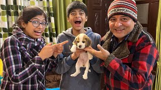 Surprised My Family With A New Puppy  *Full Shocking Reaction*